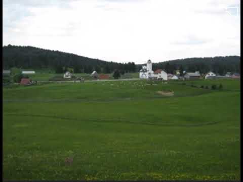 Романија! Гуслар Његош Пржуљ