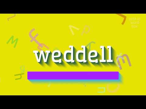 How to say "weddell"! (High Quality Voices)