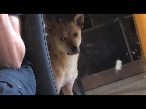 #JACKnDRILL THEWOOL - been 1 year (official video)