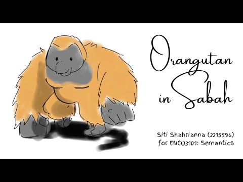 LANDMARKS ON VLOG: Orangutan in Sabah 🦧