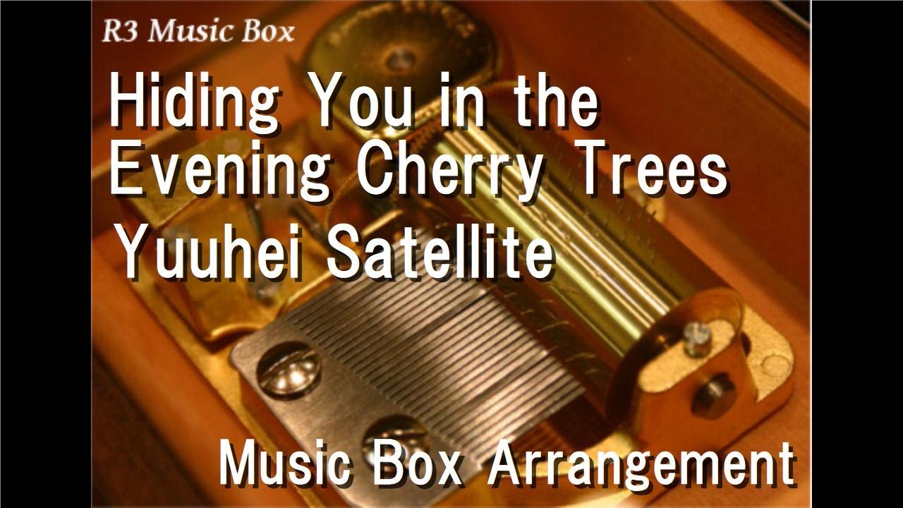Hiding You in the Evening Cherry Trees/Yuuhei Satellite [Music Box]
