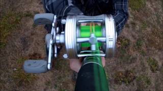 Abu garcia ambassadeur 5500 c3