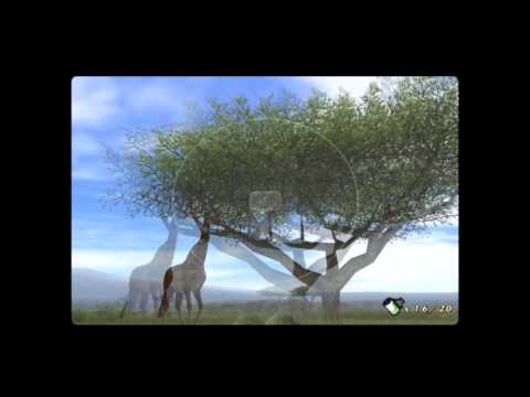 Animal Kingdom : Wildlife Expedition Wii