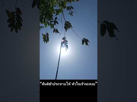 คลิกเพื่อดูคลิปวิดีโอ
