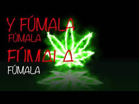 Jedis - Deliray (Video Lyrics Oficial) Prod. por @jedismusicpro para @jedischile