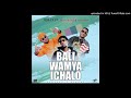 Jemax Ft Dope Boys Mjomba Baliwamya Ichalo PF Campaign Song