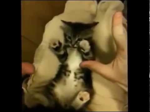 put your hands up in the air