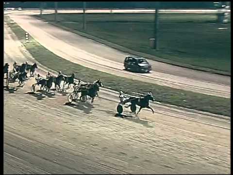 Trotto 08/02/2015 - 7° corsa