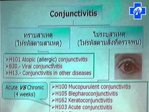 โรคผิวหนังภูมิแพ้ pustules รักษา ตาราง neurodermatitis อาหาร