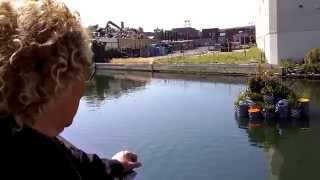 Diana Balmori Explains GrowOnUs Water-Cleaning Garden on Gowanus