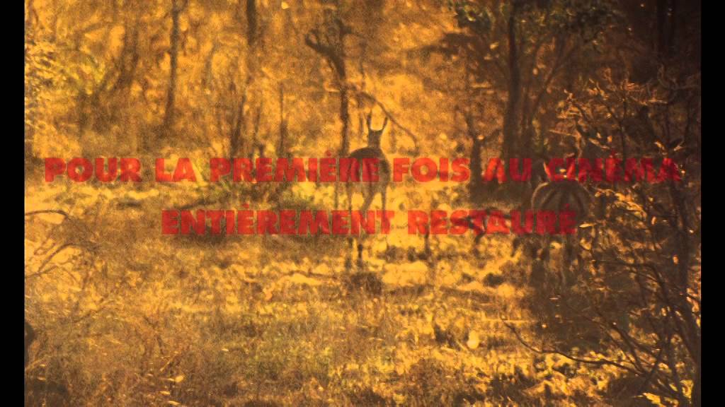 La Fête Sauvage - Bande Annonce VF