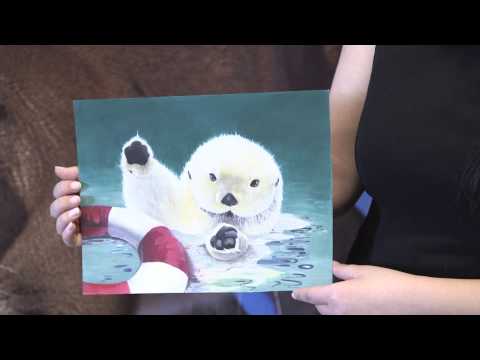 Endangered Species Day Art Contest Winner 2014 - Amy Feng