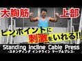 『大胸筋番外編!痔でも工夫して鍛える!!』CHICKEN HEART TV vol.94実技篇