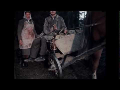 Kaadris: Tuulte pesa