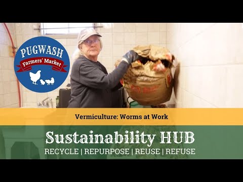 Vermiculture - Worms at Work