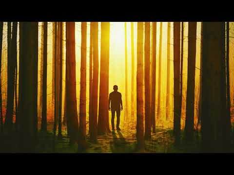 Fotiz Liberis - The Calling