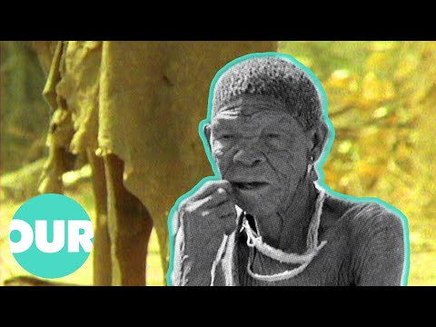 The Compelling Story Of The Gwikwe, the Last Surving 'Bushmen' | Our World