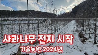 사과 나무 전지 시작합니다 자연특별시괴산  사과 품종 별 전지 방법을 상세히 지속적으로 업로드 하겠습니다 […