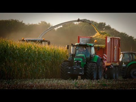 Mais häckseln 2016 | Maize Harvest 2016 | Lohnunternehmen Klein-Hitpaß
