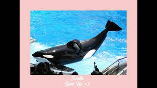 Cover art for Swalla Sped up