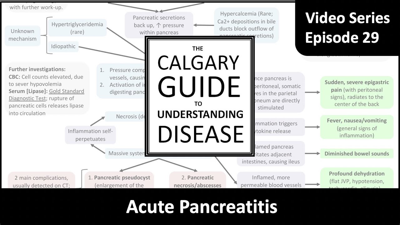 Acute Pancreatitis: pathogenesis, clinical findings, and complications