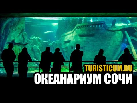 Океанариум Сочи — Sochi Discovery World 