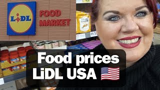 Food Prices LiDL USA 🇺🇲 How CHEAP are Groceries? 🛒