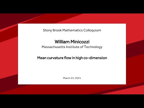 Mean curvature flow in high co-dimension - William Minicozzi