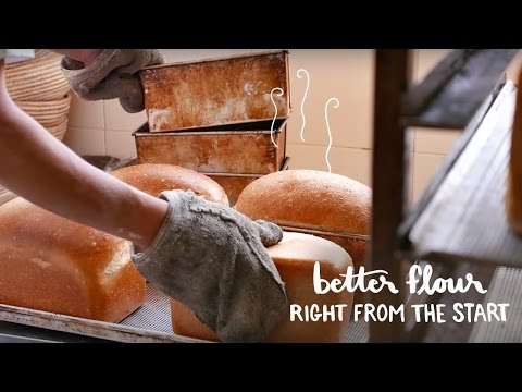 Introducing Identity-Preserved Flour: A Better Ingredient for Better Baking