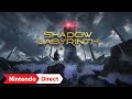 Vidéo de gameplay de Shadow Labyrinth  PC