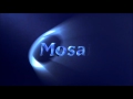 Mosaic Media Group 2002