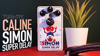 Video thumbnail for Caline Simon Super Delay by TheSuperFunAwesomeHappyTimePedalShow