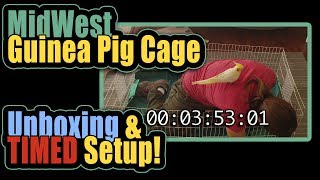 MidWest Guinea Pig Cage Unboxing, TIMED Setup!
