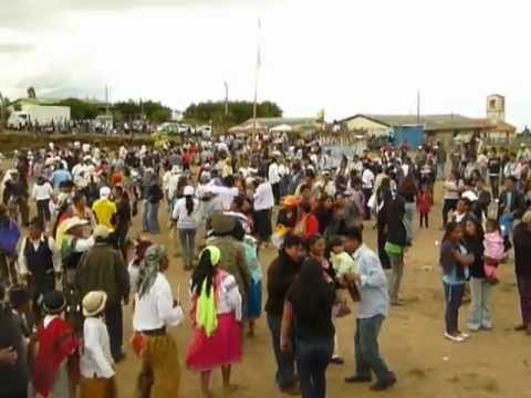 Son 5 del valle de Cayambe