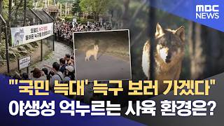 무사 생환에 '환호'‥ 동물원 달라져야 (2026.04.17/뉴스데스크/대전MBC)