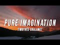 Timothée Chalamet Pure Imagination Lyrics From Wonka