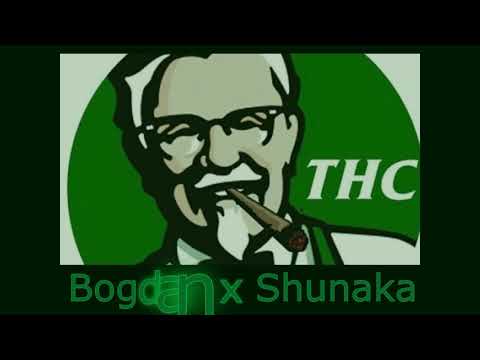 Shunaka x Bogdan - THC (Official Audio)