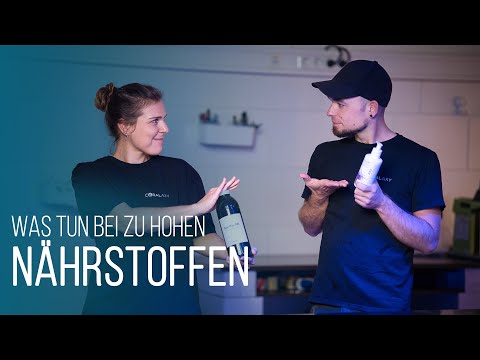 HOW-TO: Zu hohe Nährstoffwerte (N & P) im Meerwasseraquarium | Anzeichen, Ursachen & Maßnahmen