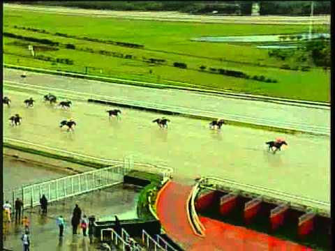 Resumen Sábado, 15 de Noviembre de 2014 - La Rinconada