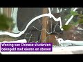 Bewoners bekogeld huis waren super bang.