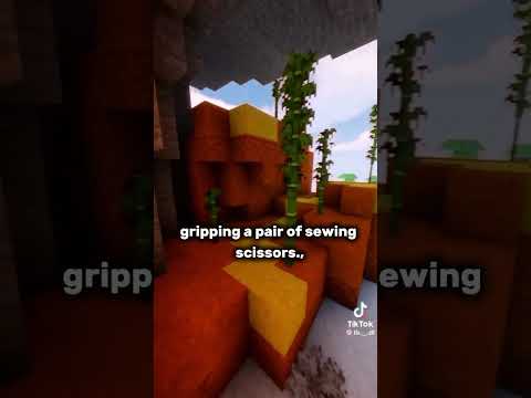 My sister tried to kill me and replace me (story time)