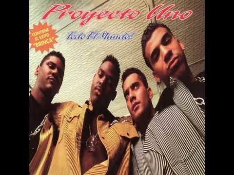 Proyecto Uno - Brinca