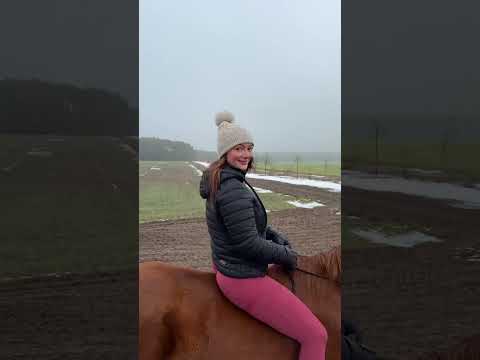 A little happiness on horseback ✨🐎 #nature #riding  #horse