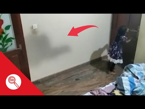 VIDEO SPAVENTOSI CHE MANDERANNO LA TUA PRESSIONE ALLE STELLE