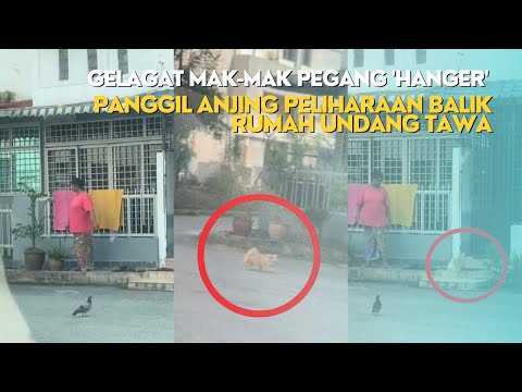 GELAGAT MAK-MAK PEGANG HANGER PANGGIL ANJING PELIHARAAN BALIK RUMAH UNDANG TAWA