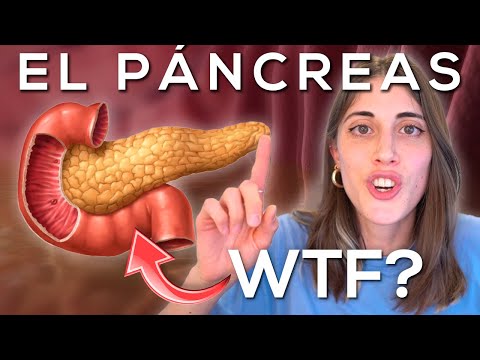 ¿Qué hace el PÁNCREAS en el CUERPO?