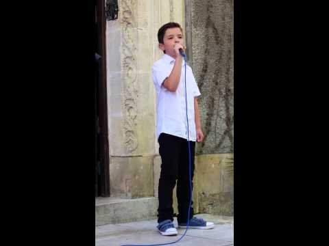 Pierre Perret - Lili  ( Cover Solan )