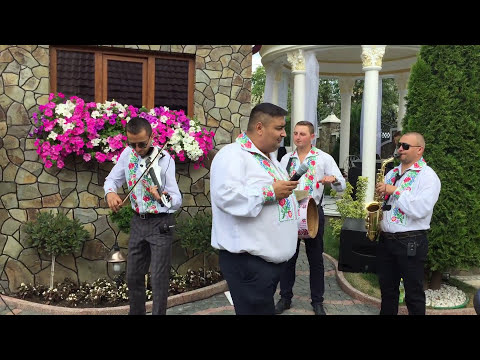 Formația Maestro BREND! Constantin Niculaița & Ion Bodnar - Are mama doi feciori (Live)