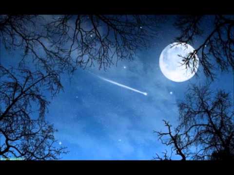 Plastic Tree - スピカ