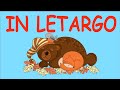 IN LETARGO Canzone Dell Autunno
